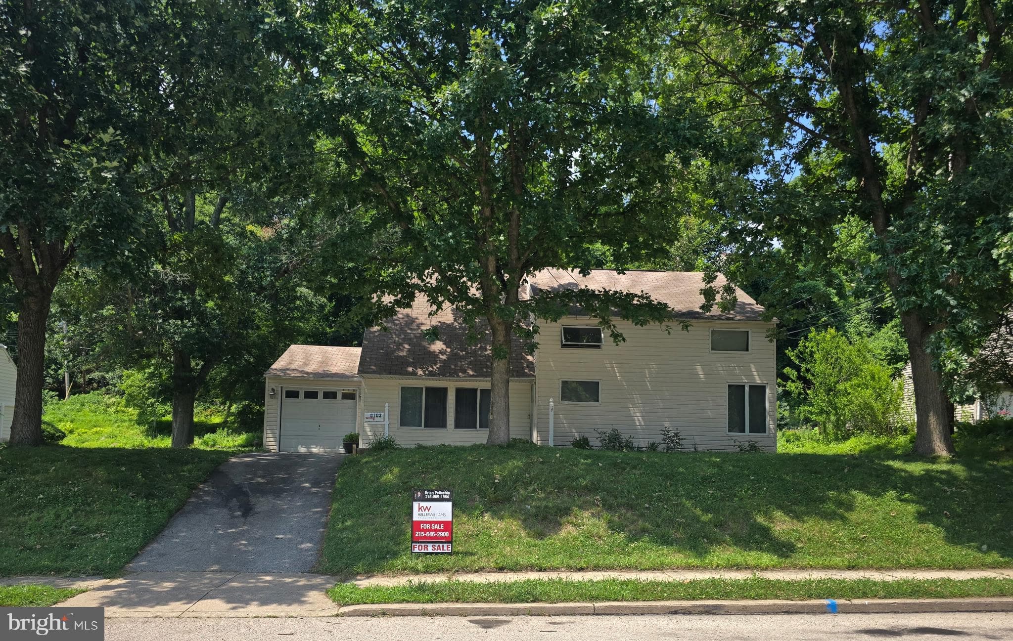 8703 Patton Rd, Glenside, PA 19038